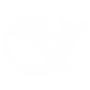DeepSeek Logo